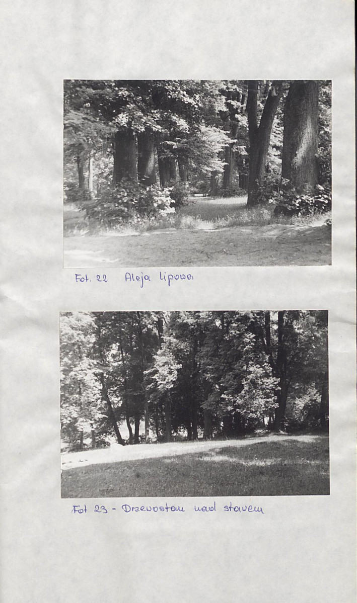 EP - Ewidencja parkowa, skan nr 33