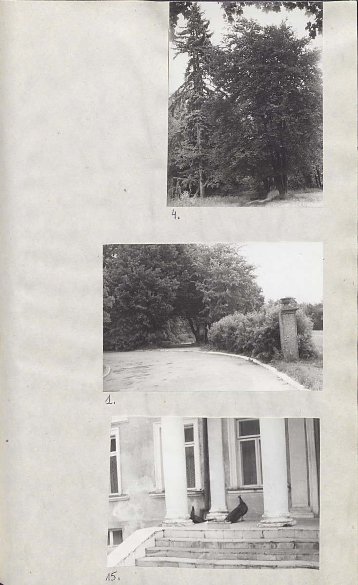 Ewidencja parkowa, skan nr 23