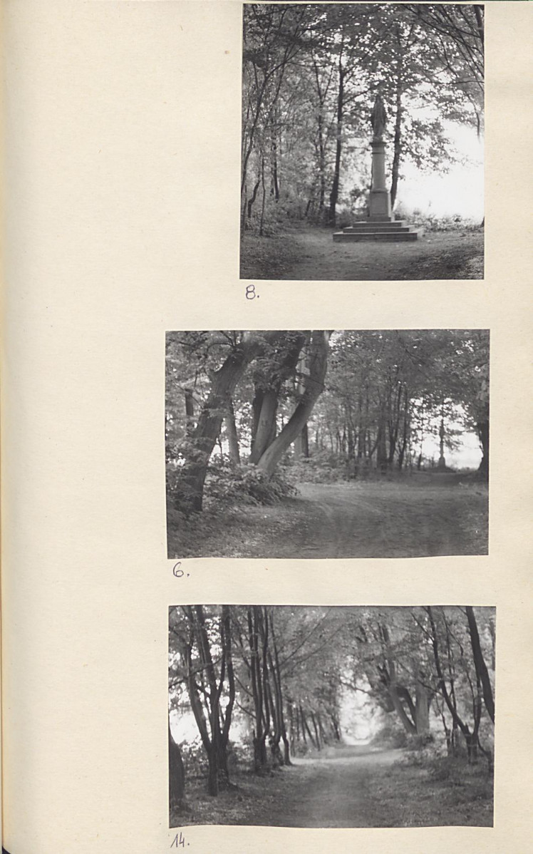 Ewidencja parkowa, skan nr 25