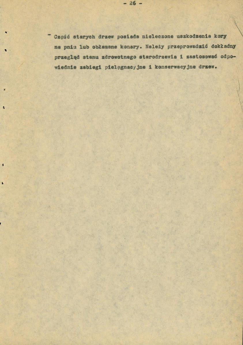 Ewidencja parkowa, skan nr 31
