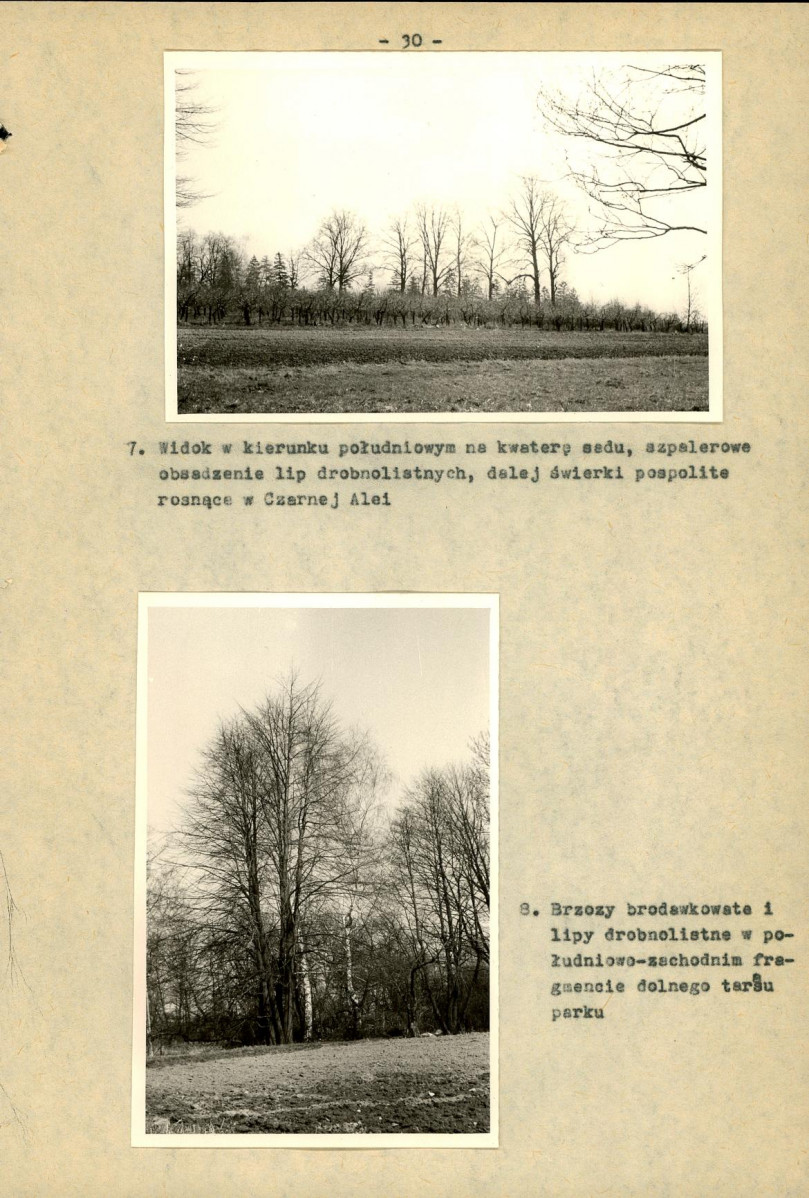 Ewidencja parkowa, skan nr 35