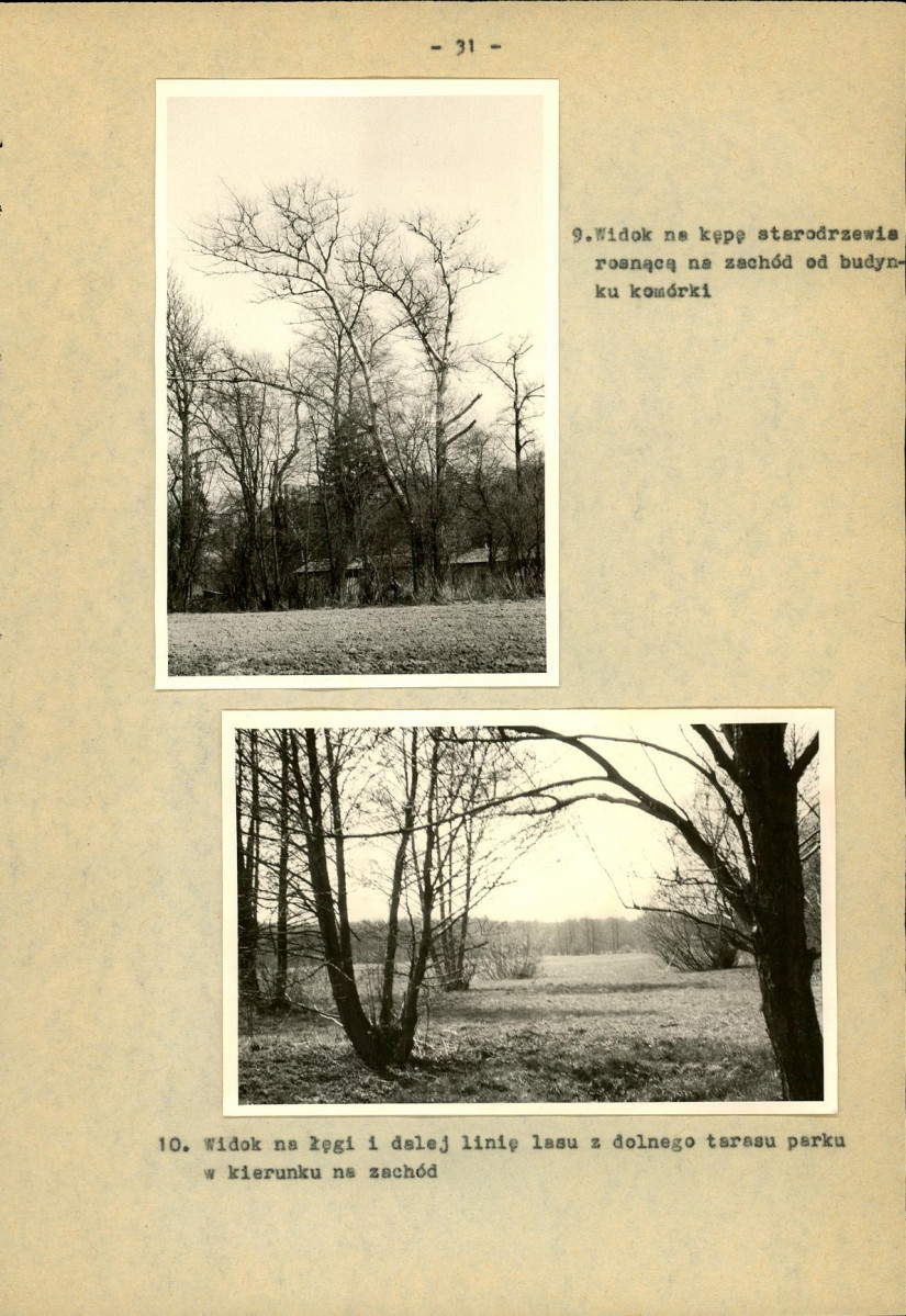 Ewidencja parkowa, skan nr 36