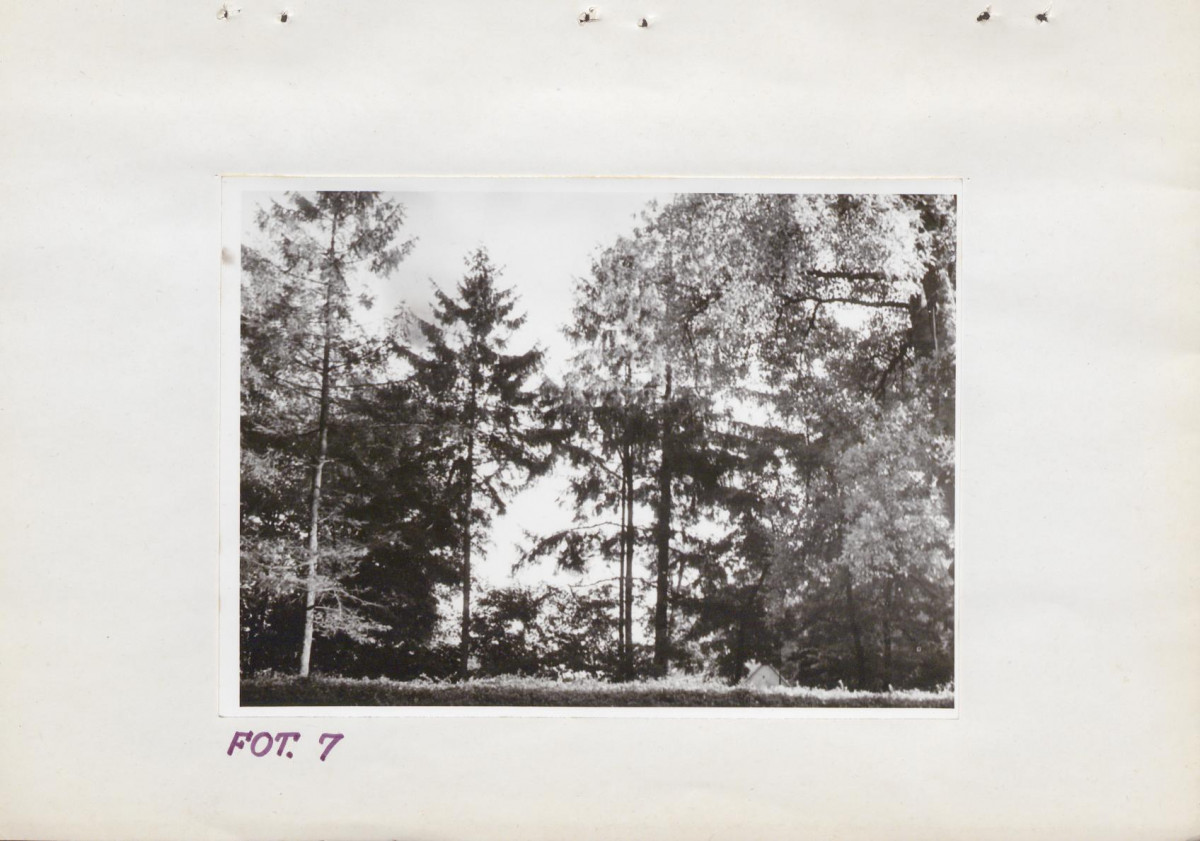 Ewidencja parkowa, skan nr 22
