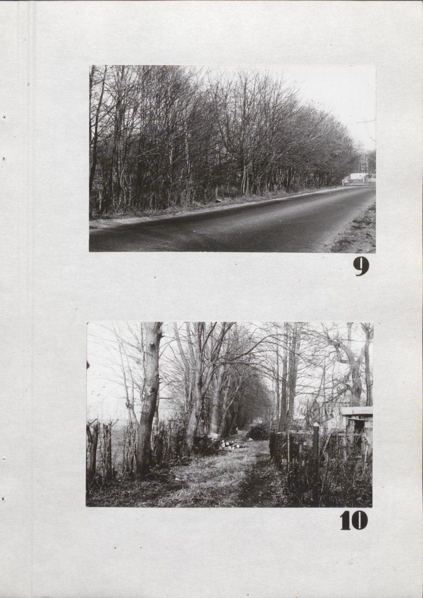 Ewidencja parkowa, skan nr 33