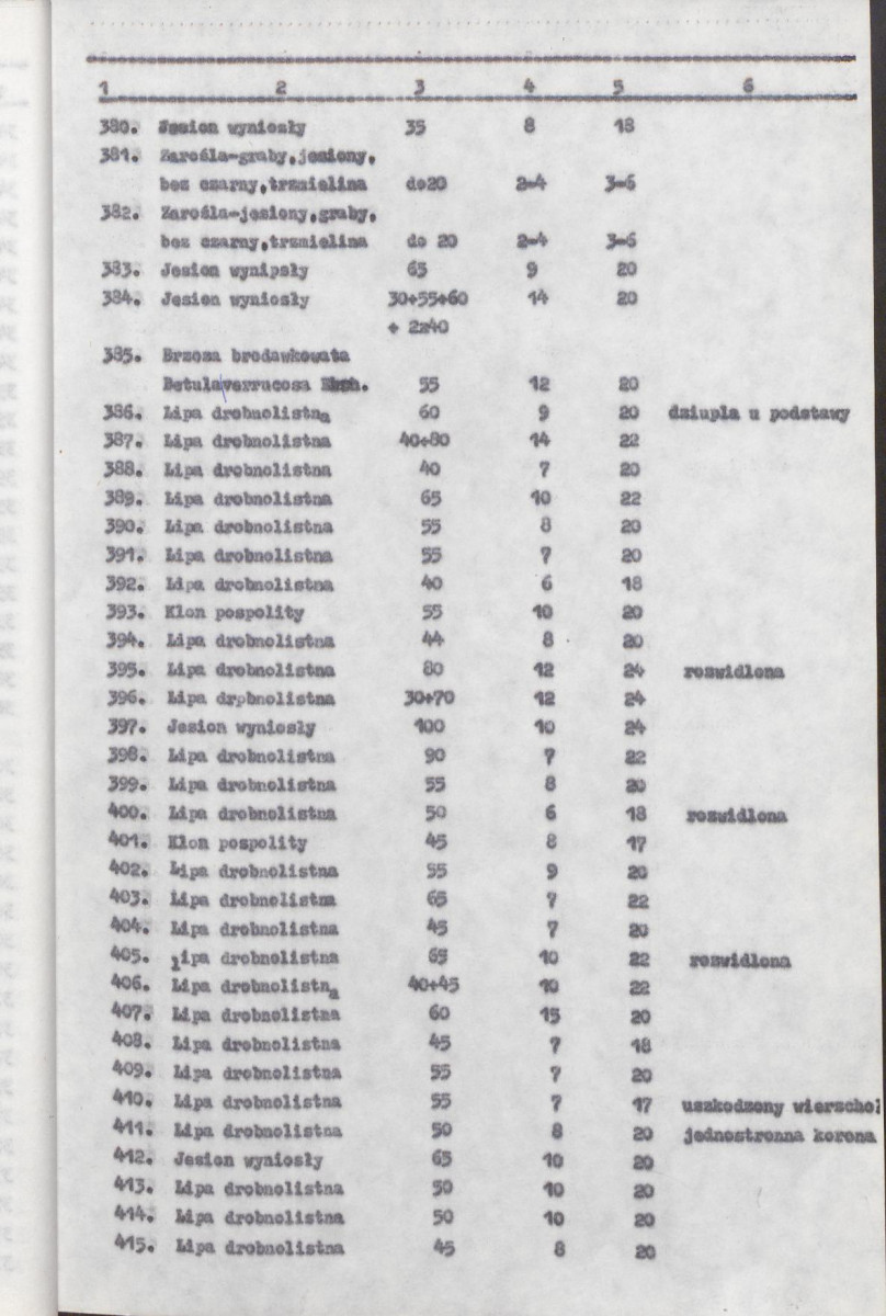 Ewidencja parkowa, skan nr 25