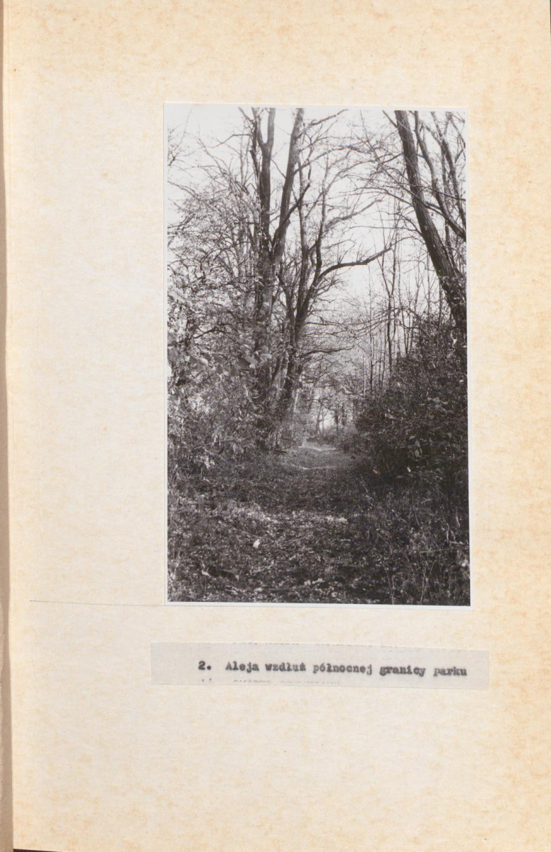 Ewidencja parkowa, skan nr 34