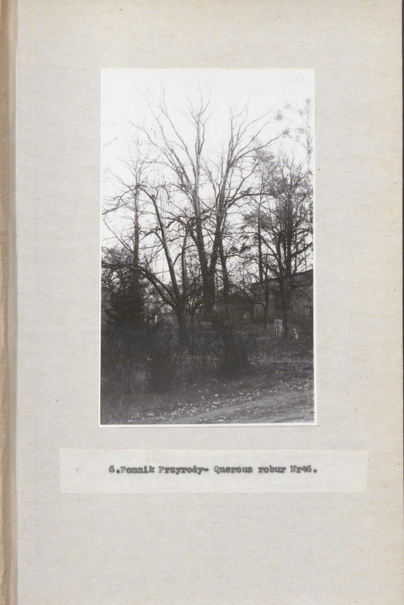 Ewidencja parkowa, skan nr 27