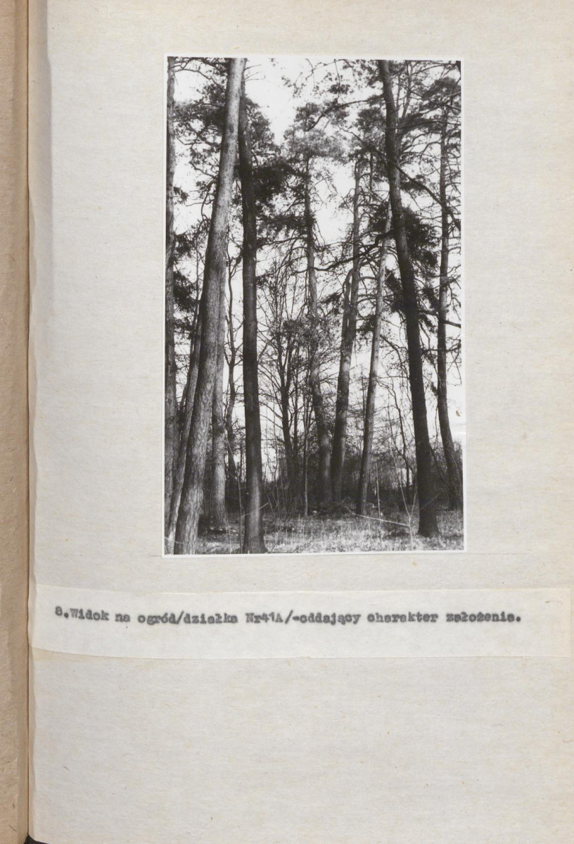 Ewidencja parkowa, skan nr 29