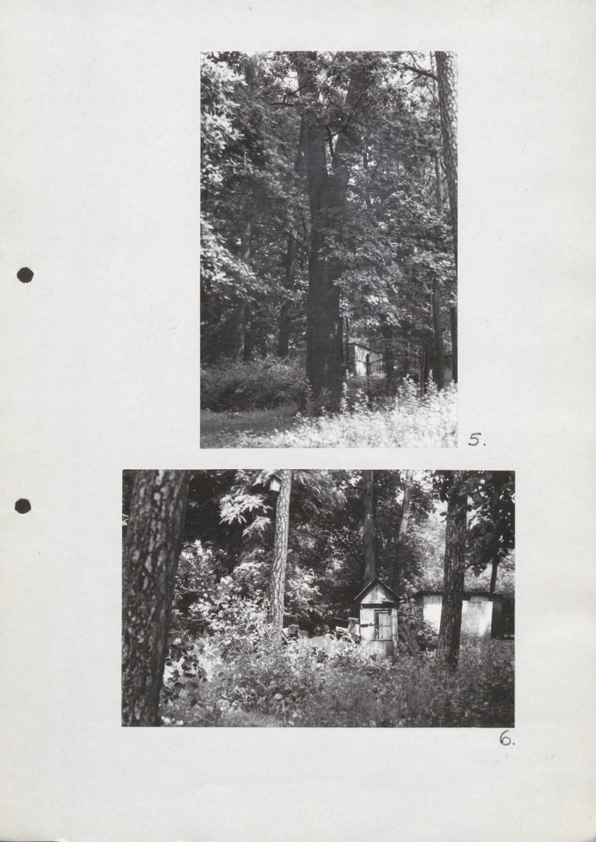 Ewidencja parkowa, skan nr 17