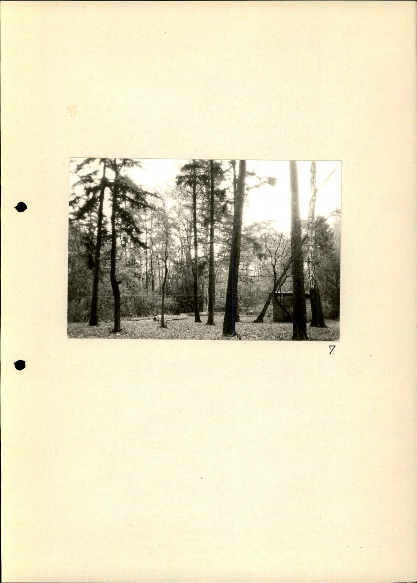 Ewidencja parkowa, skan nr 19