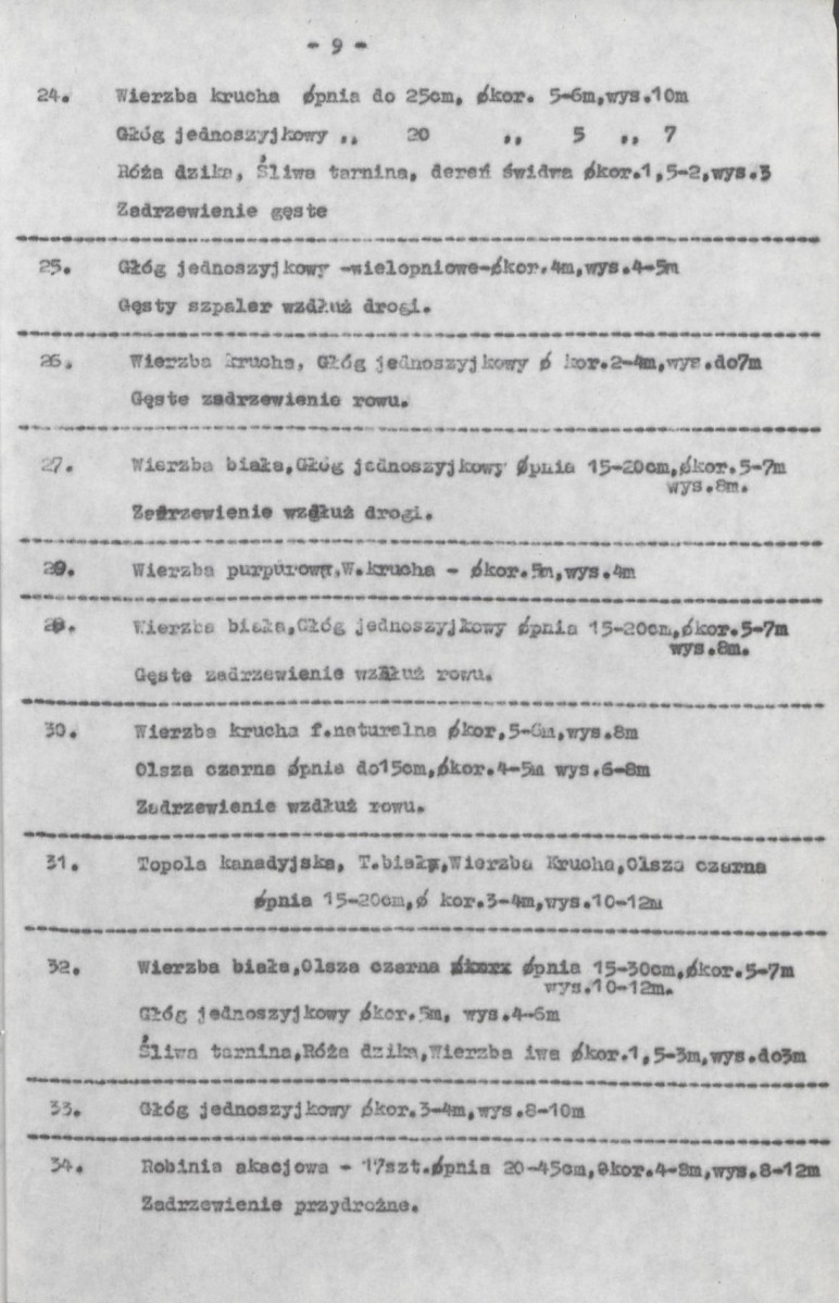 Ewidencja parkowa, skan nr 18