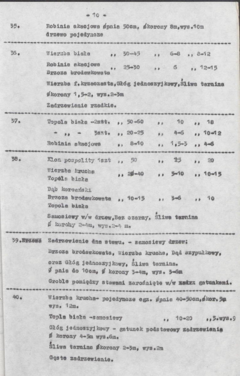 Ewidencja parkowa, skan nr 19