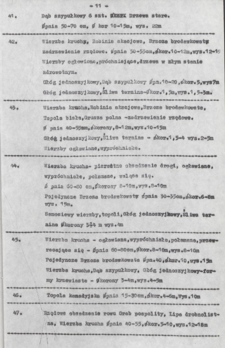 Ewidencja parkowa, skan nr 20