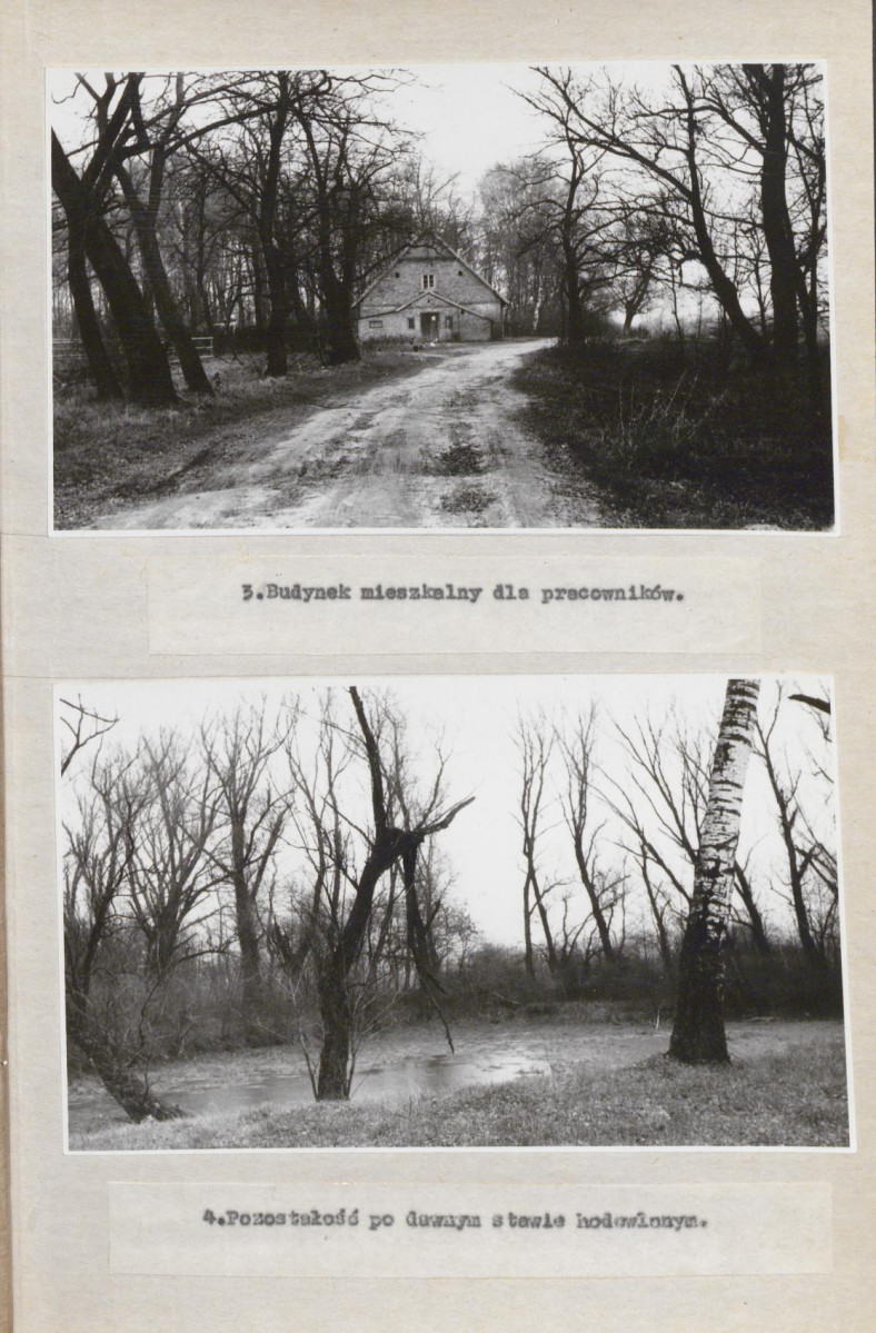 Ewidencja parkowa, skan nr 30