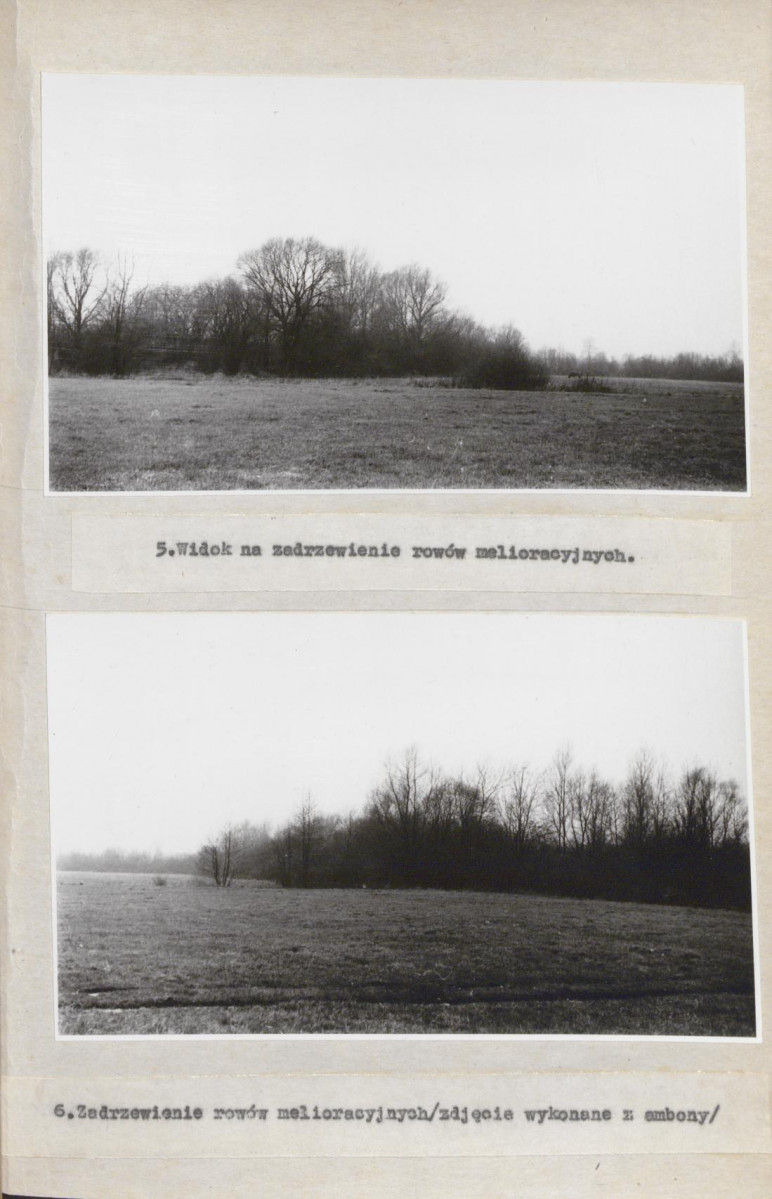 Ewidencja parkowa, skan nr 31