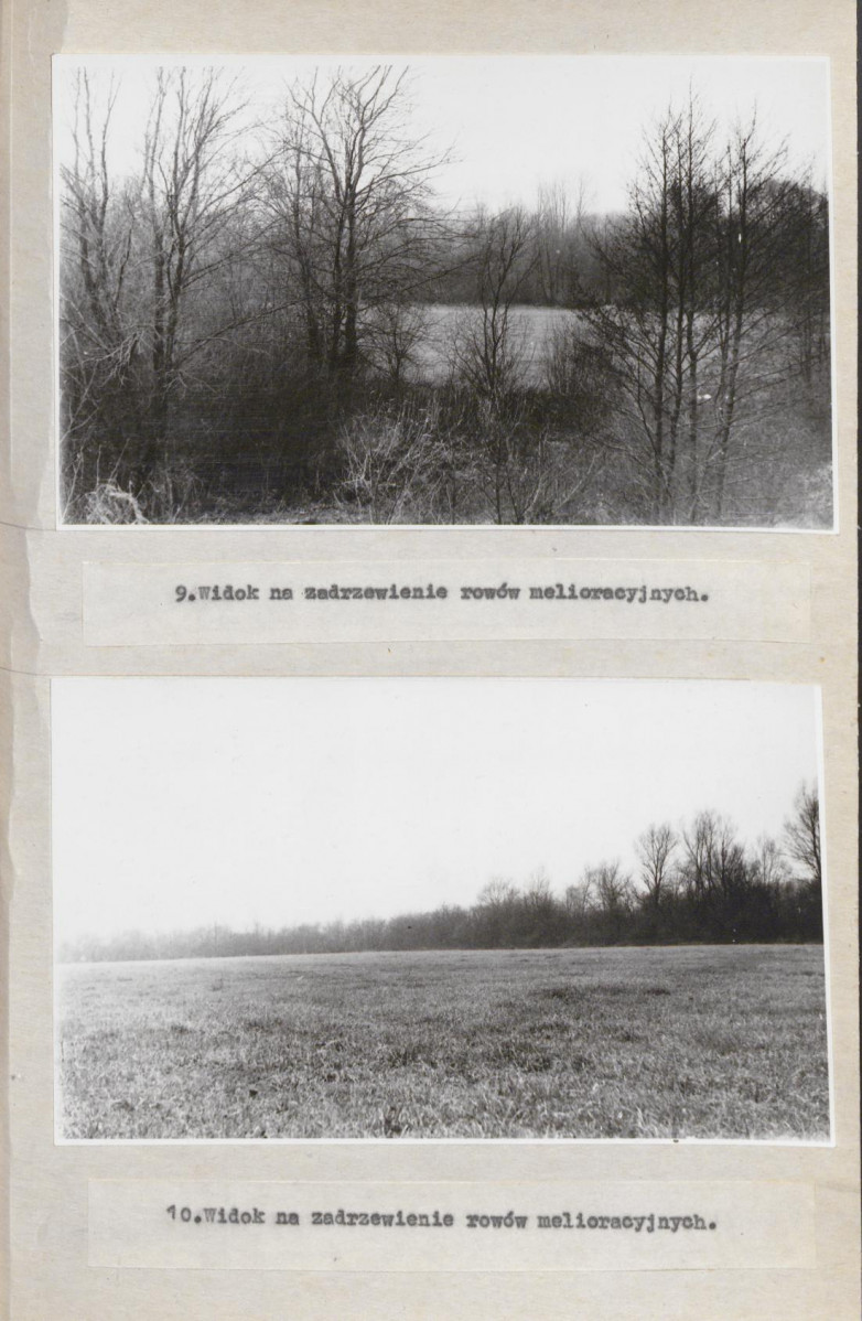 Ewidencja parkowa, skan nr 33