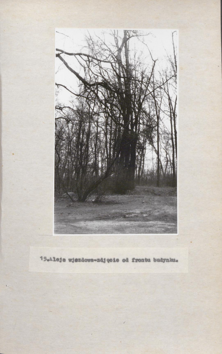 Ewidencja parkowa, skan nr 36