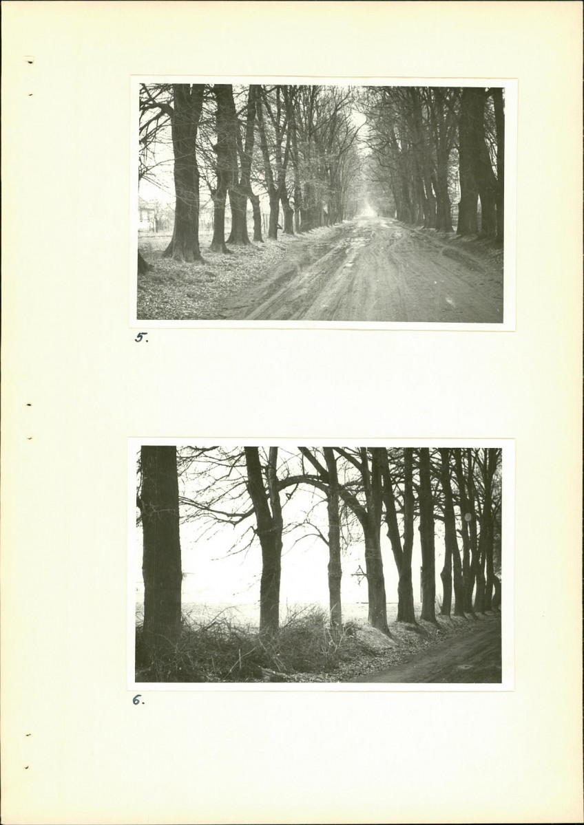 Ewidencja parkowa, skan nr 16