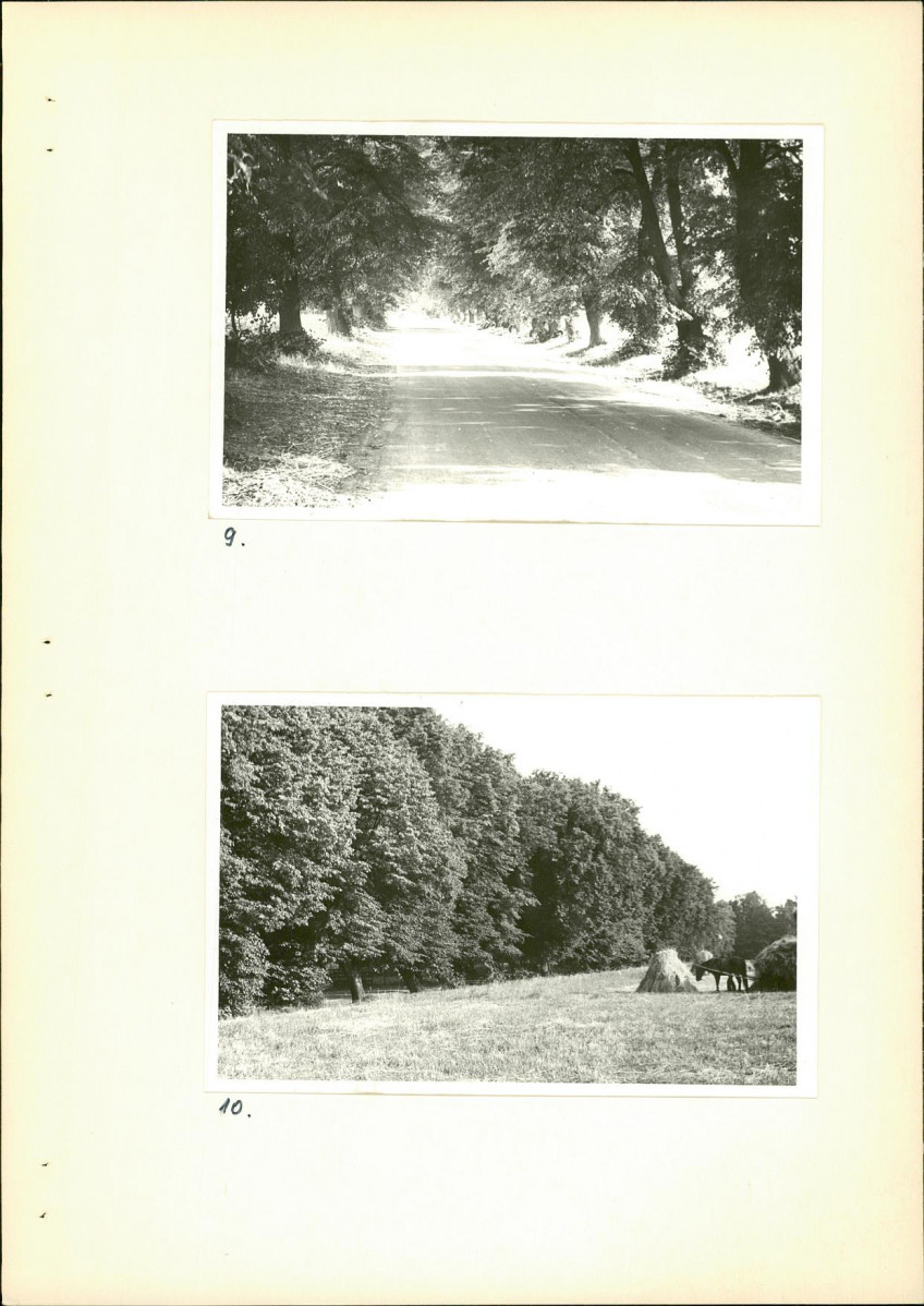 Ewidencja parkowa, skan nr 18