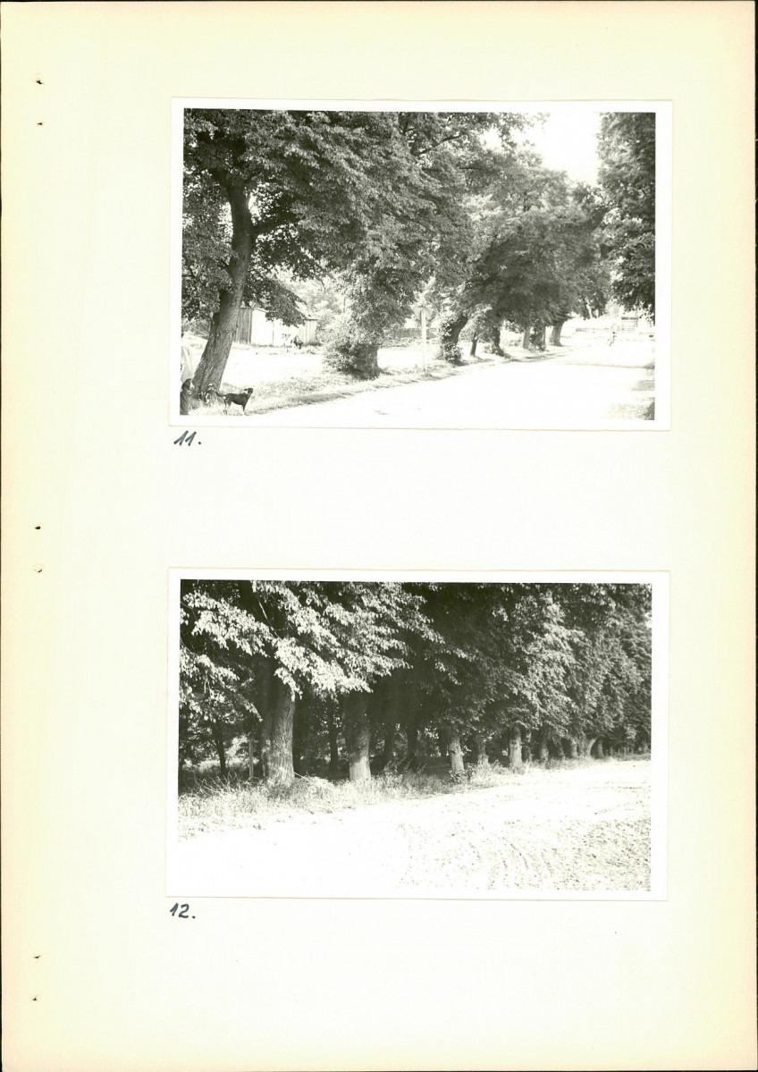 Ewidencja parkowa, skan nr 19