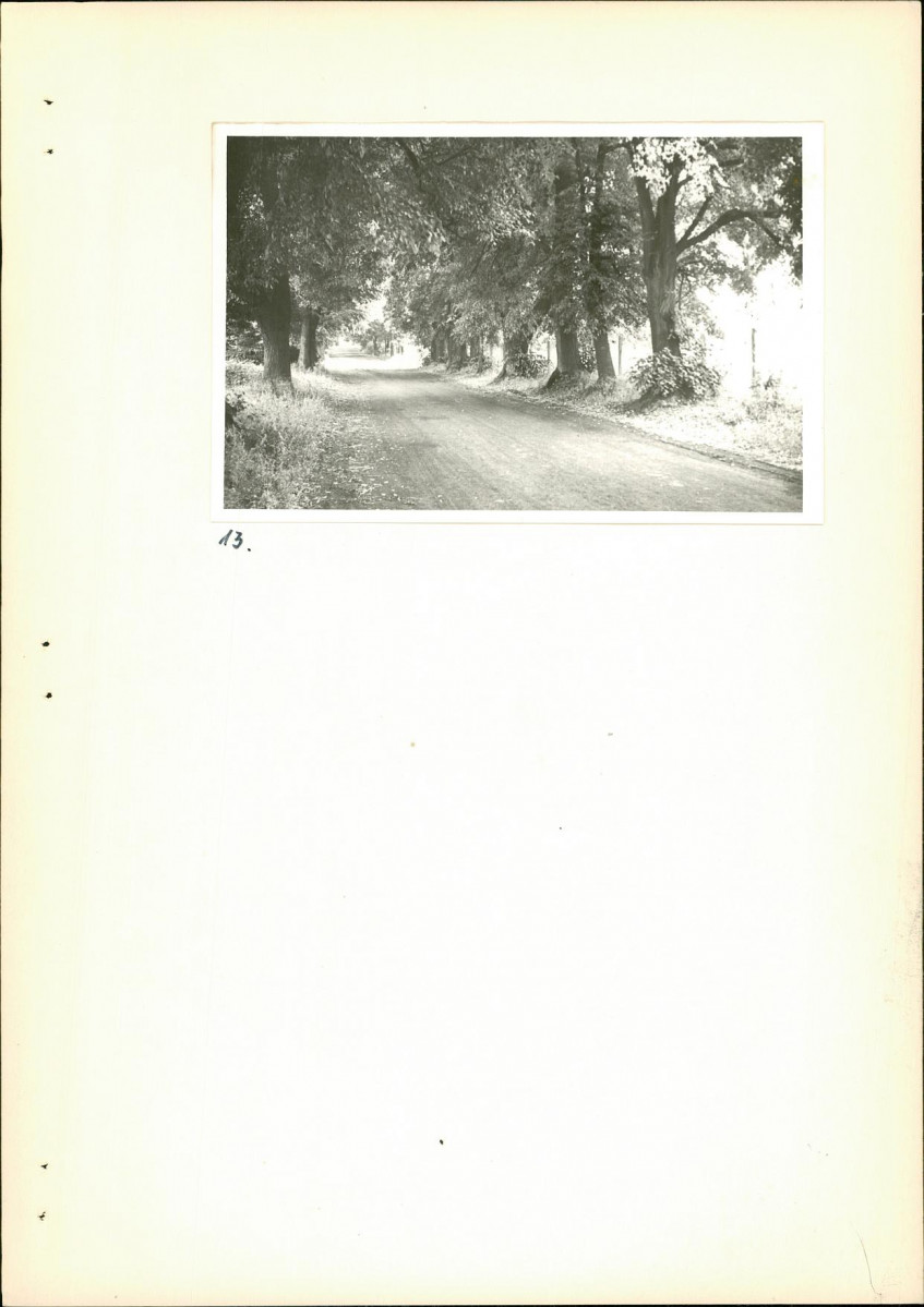 Ewidencja parkowa, skan nr 20