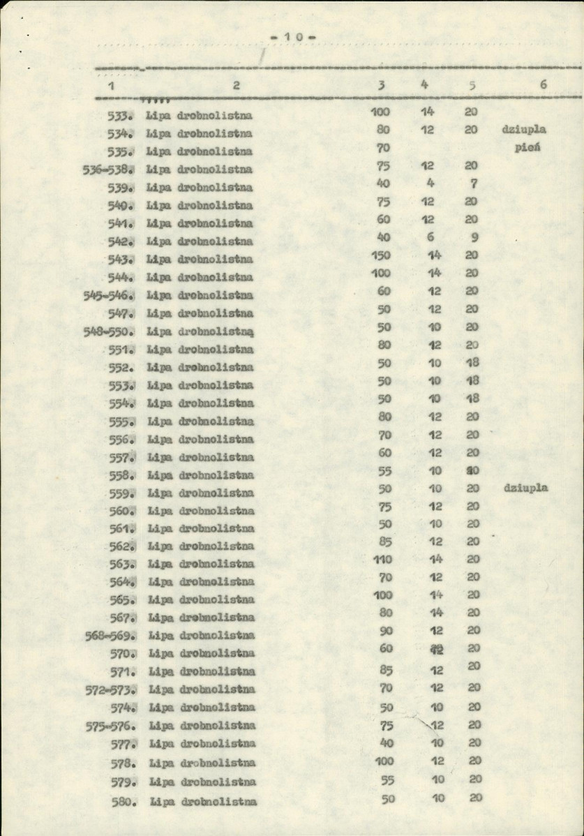 Ewidencja parkowa, skan nr 51
