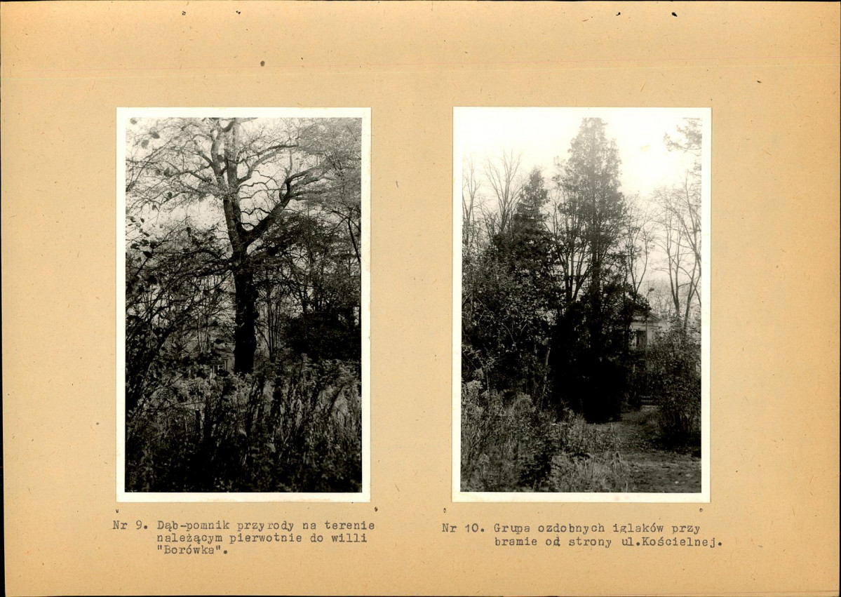 EP - Ewidencja parkowa, skan nr 23