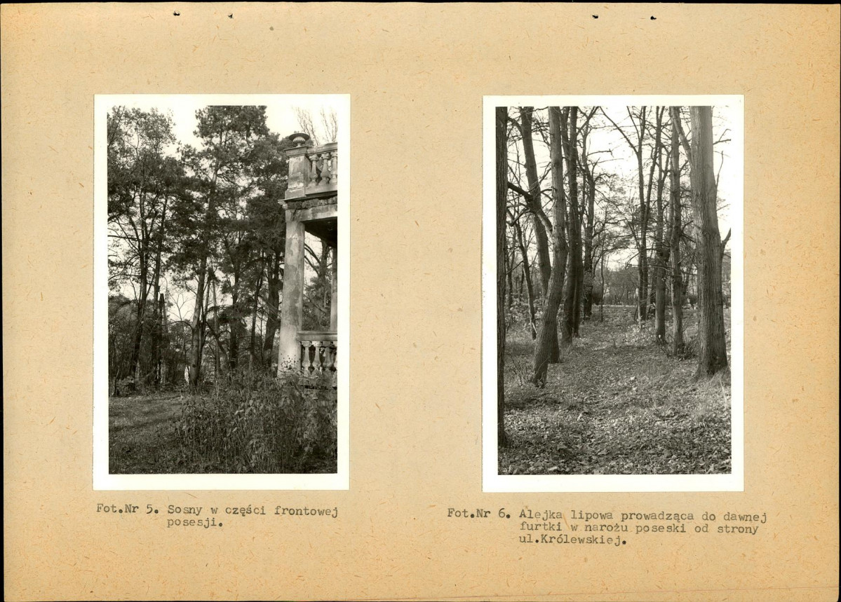 EP - Ewidencja parkowa, skan nr 20