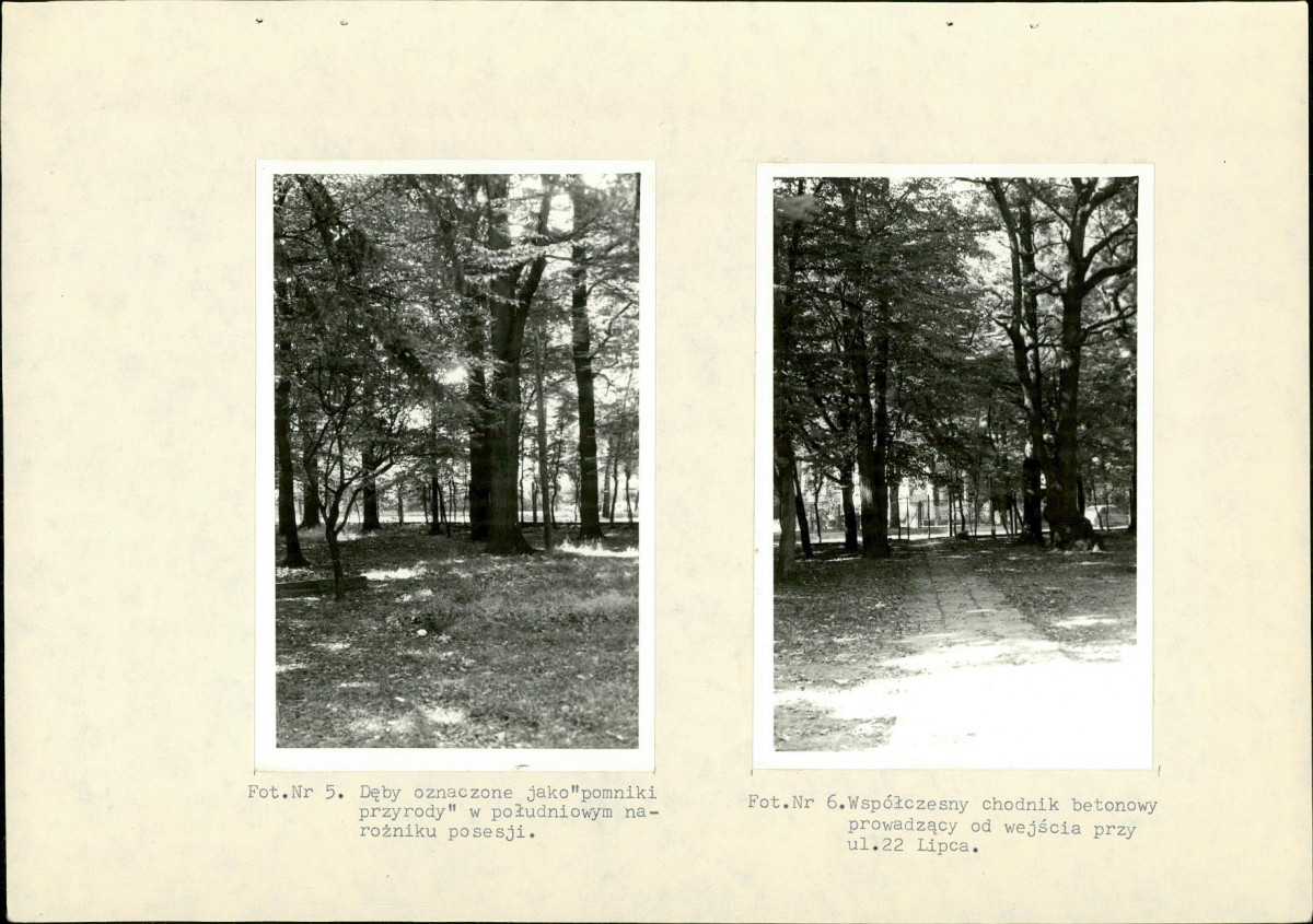 EP - Ewidencja parkowa, skan nr 21