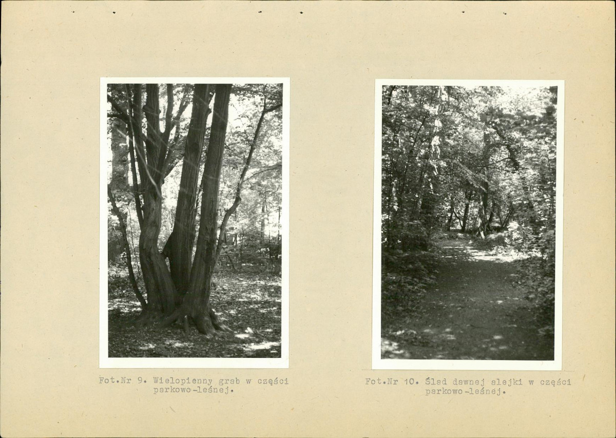 EP - Ewidencja parkowa, skan nr 25