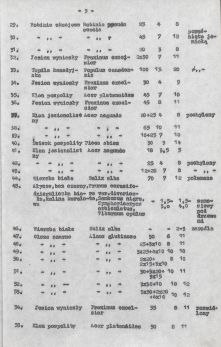 Ewidencja parkowa, skan nr 14