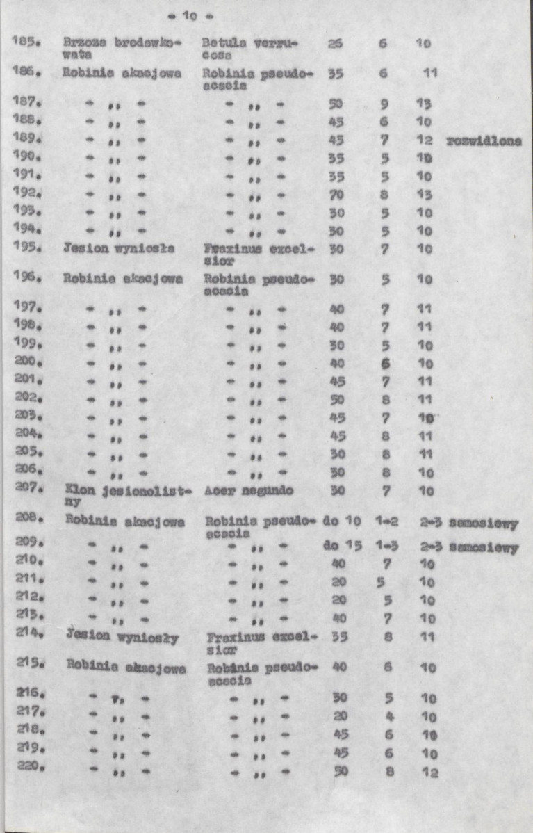 Ewidencja parkowa, skan nr 19