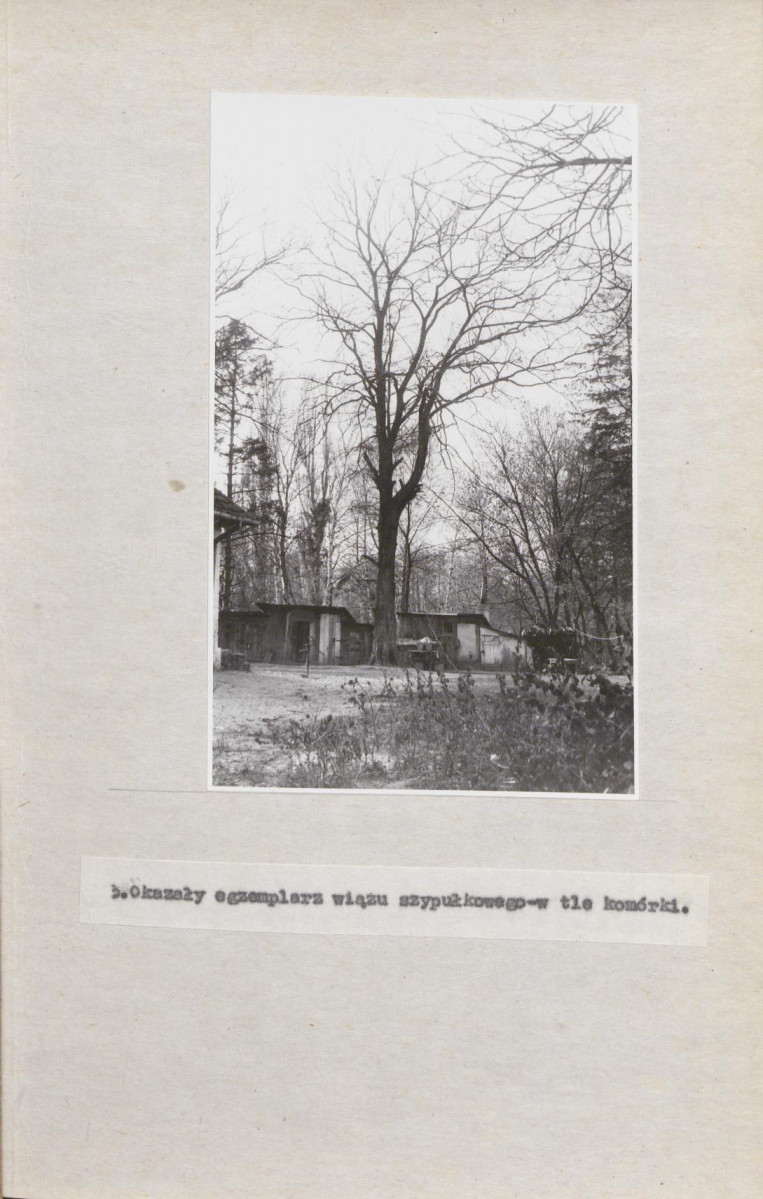 Ewidencja parkowa, skan nr 26