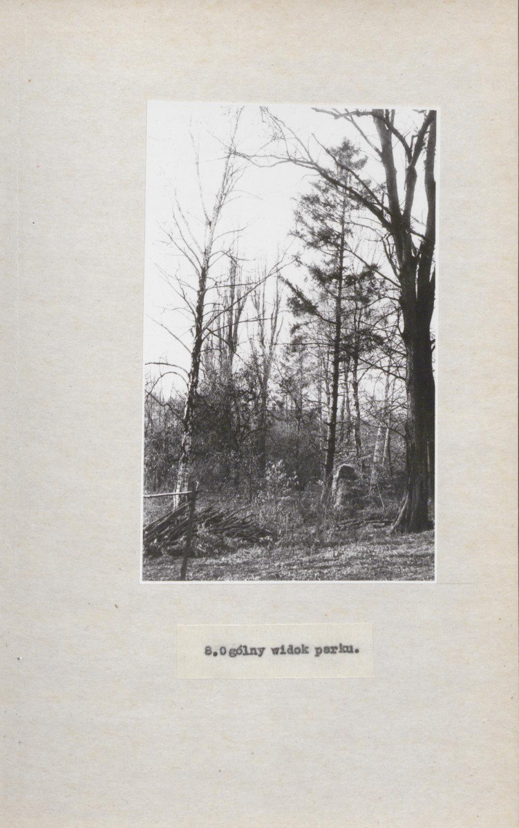 Ewidencja parkowa, skan nr 30