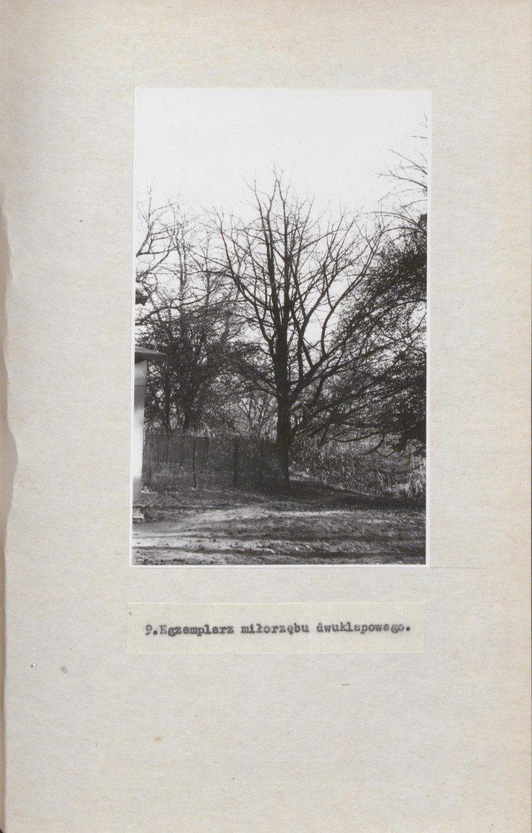 Ewidencja parkowa, skan nr 31