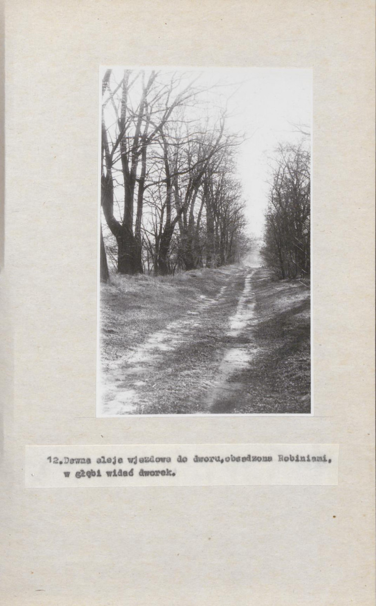 Ewidencja parkowa, skan nr 33
