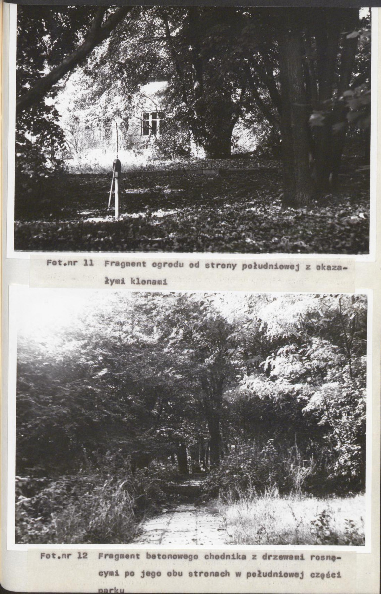 Ewidencja parkowa, skan nr 36