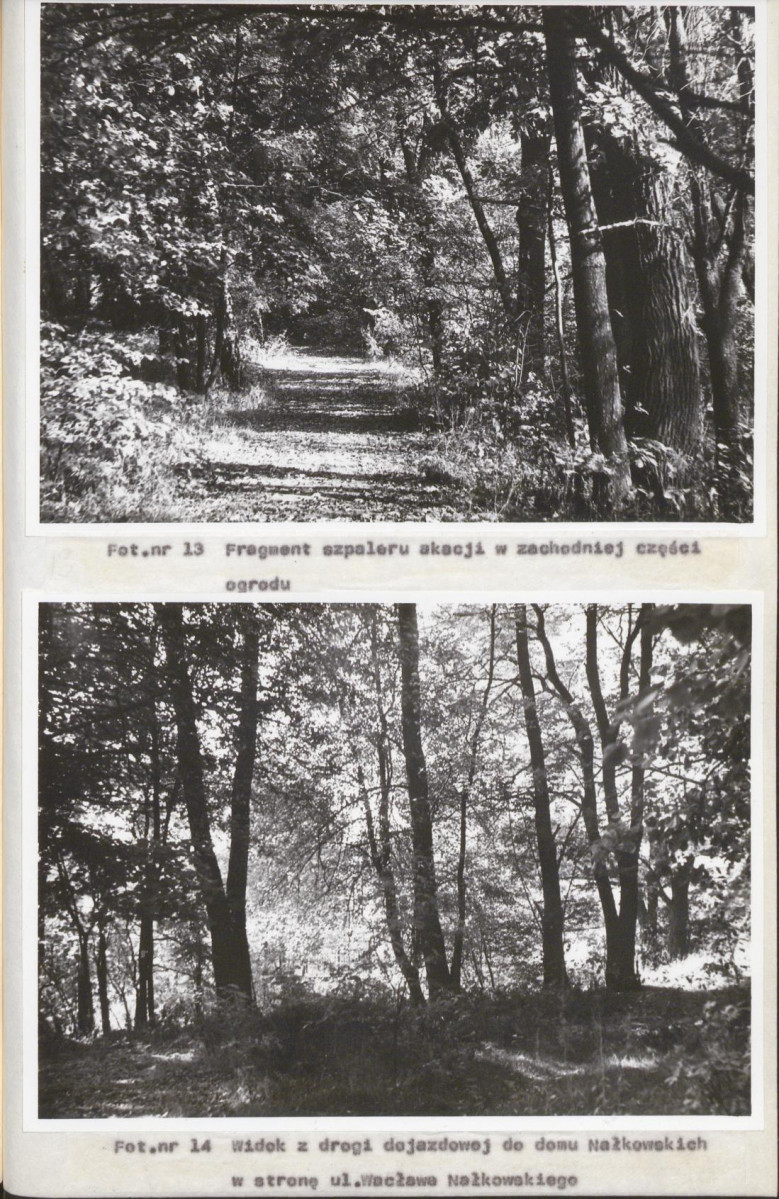 Ewidencja parkowa, skan nr 37