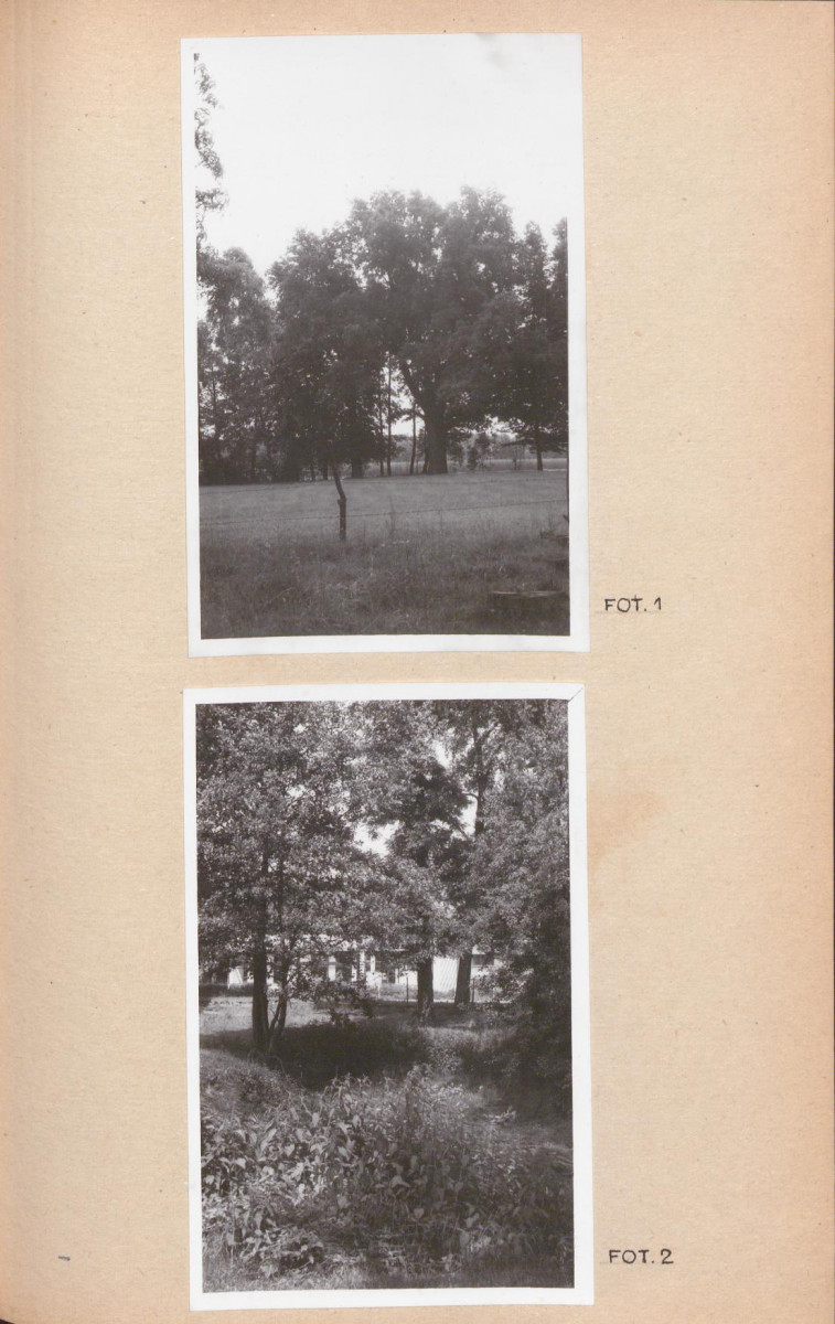 Ewidencja parkowa, skan nr 21