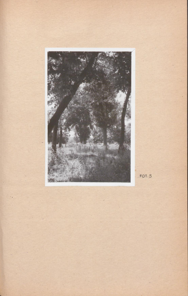 Ewidencja parkowa, skan nr 23