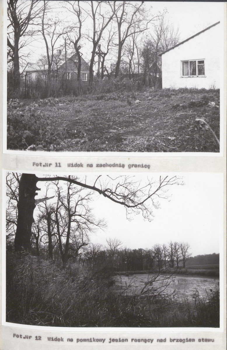 Ewidencja parkowa, skan nr 30