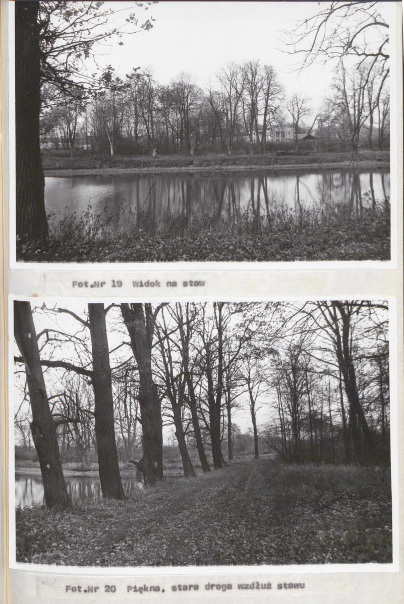 Ewidencja parkowa, skan nr 34