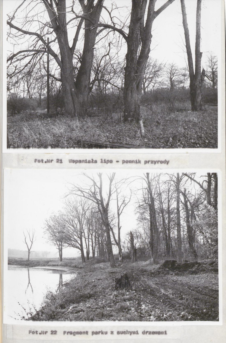 Ewidencja parkowa, skan nr 35