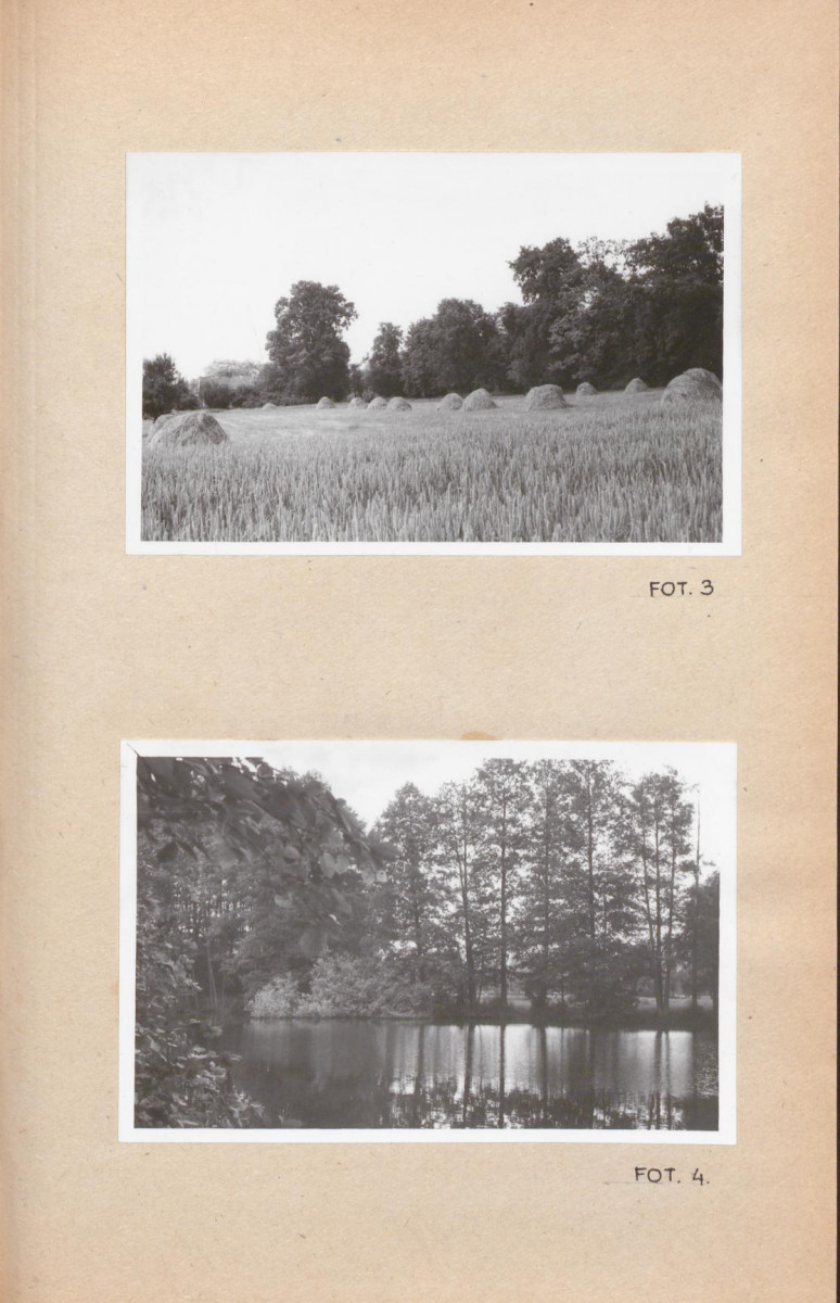 Ewidencja parkowa, skan nr 21
