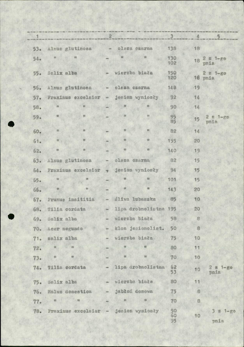 Ewidencja parkowa, skan nr 21