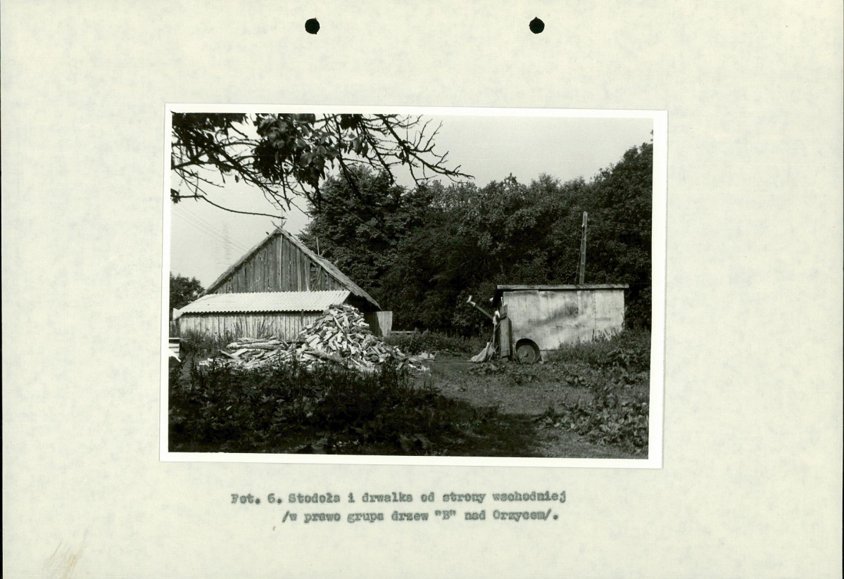 Ewidencja parkowa, skan nr 33