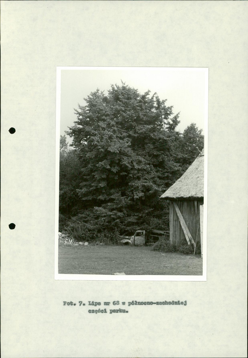 Ewidencja parkowa, skan nr 34