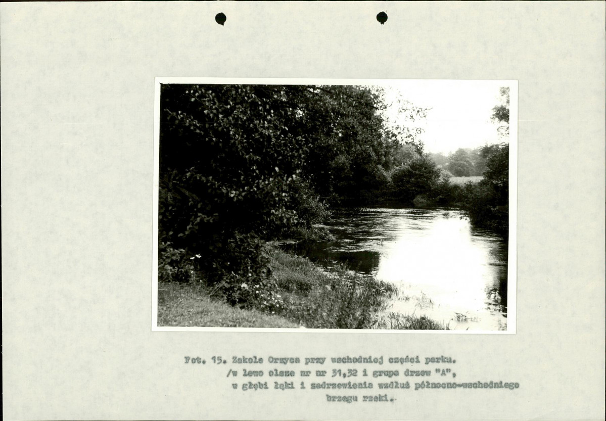 Ewidencja parkowa, skan nr 42