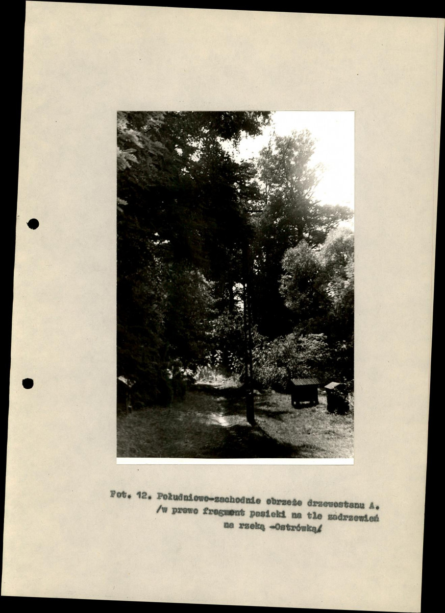 Ewidencja parkowa, skan nr 32