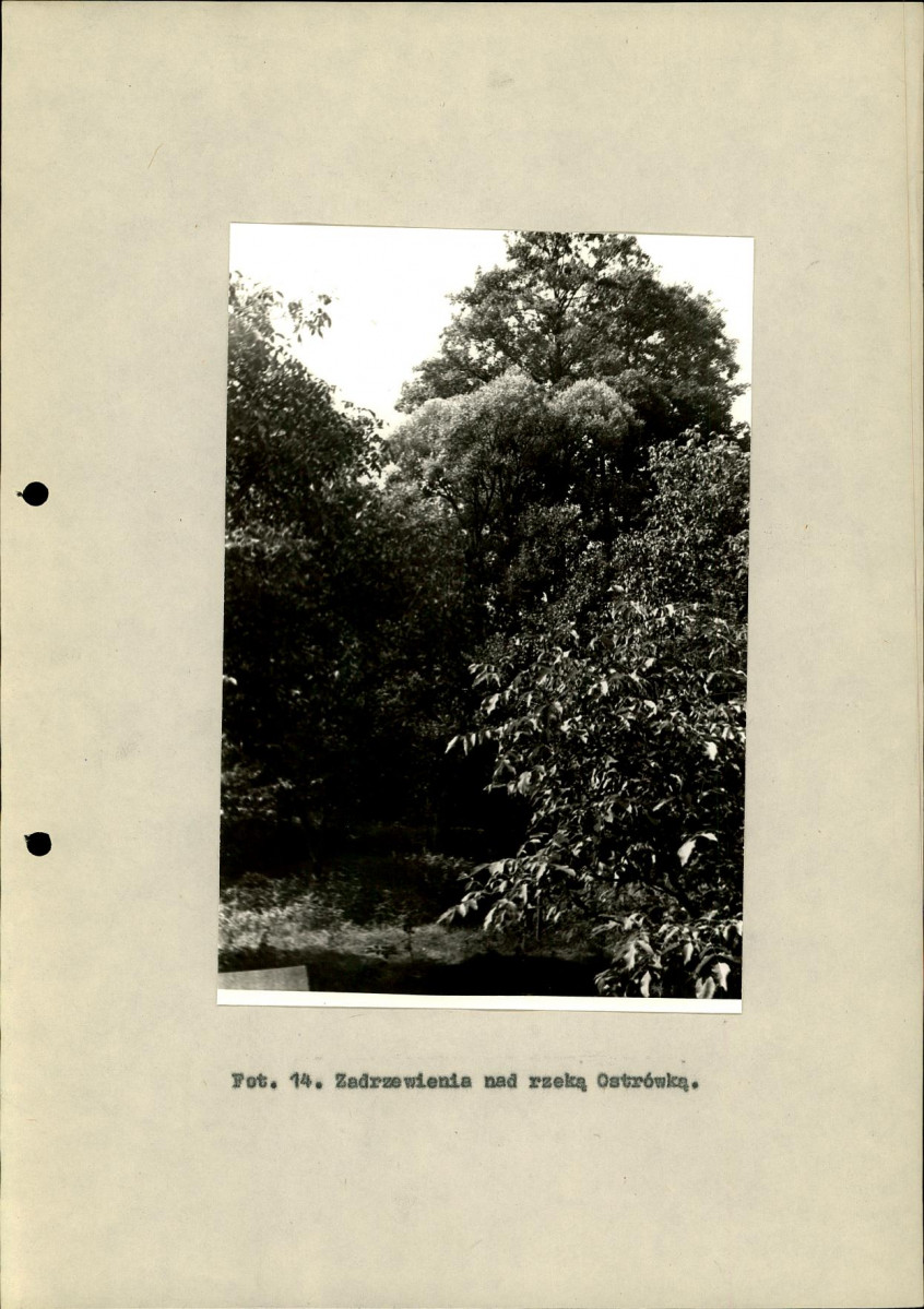 Ewidencja parkowa, skan nr 34